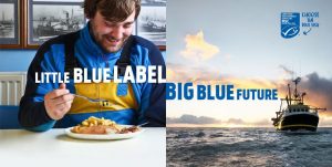 Little Blue Label, Big Blue Future
